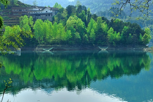 青山绿水