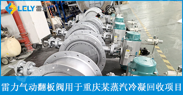 雷力气动翻板阀应用于某蒸汽冷凝回收项目